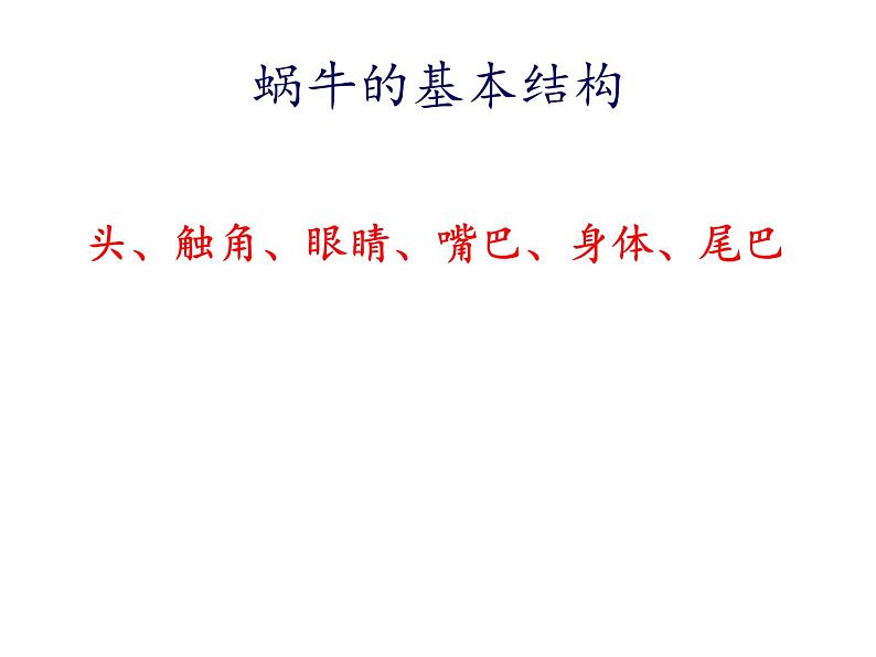 二年级美术下册第11课小蜗牛慢慢爬课件1湘美版第3页