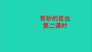 奇妙的昆虫PPT课件免费下载