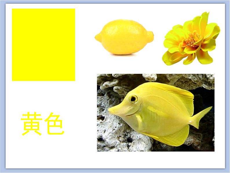 辽海版美术一下01.涂涂画画 优秀课件PPT第7页
