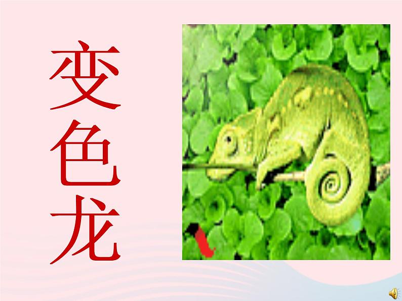 一年级美术下册第16课变色龙课件2湘美版第2页