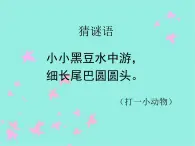 湘美版 美术二年级上册 10 小蝌蚪（课件）