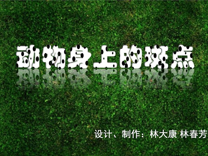 小学美术动物身上的斑点ppt课件第3页
