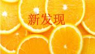 湘美版三年级上册第6课 新发现评课课件ppt