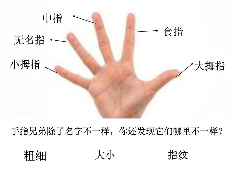 浙美版美术一年级下册 12 手指印画 课件(15张)03