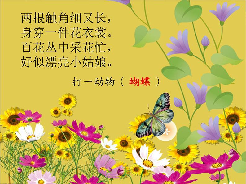 美术二年级下册课件- 5 折剪蝴蝶 浙美版(22张PPT)第1页