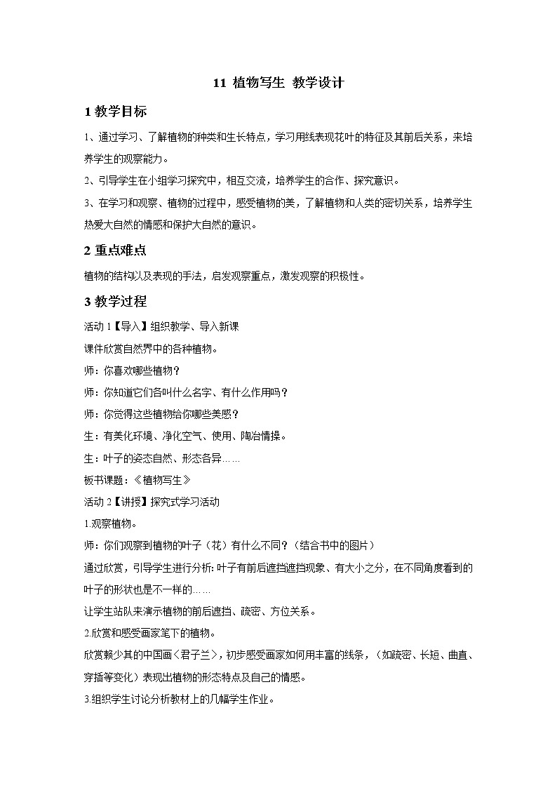 浙美版美术五年级下册 11 植物写生 教学设计 (2)第1页