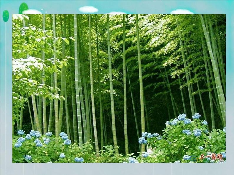 浙美版美术六年级下册 10 竹 课件 (2)02