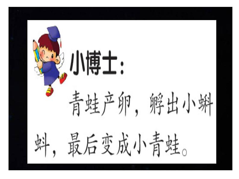 岭南版一下:第8课 小动物和妈妈 课件(17张PPT)第5页