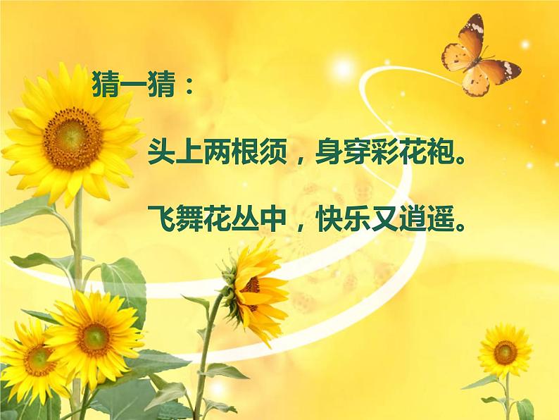 11 缤纷彩蝶 课件 (3)第1页