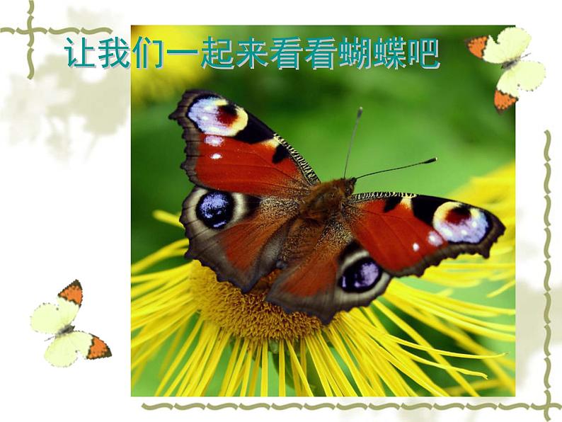 桂美版美术一年级下册 11 缤纷彩蝶 课件 第4页