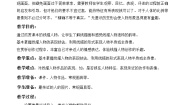 桂美版3 亲近的人教案
