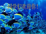 彩墨畫魚PPT課件免費下載