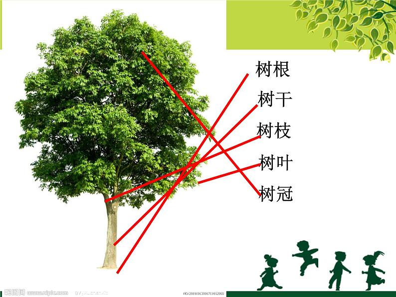苏少版二年级下册美术 9.树上树下(一) 课件第4页