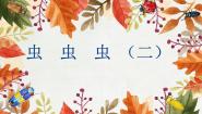 虫虫虫（二）PPT课件免费下载