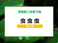 虫虫虫（一）PPT课件免费下载