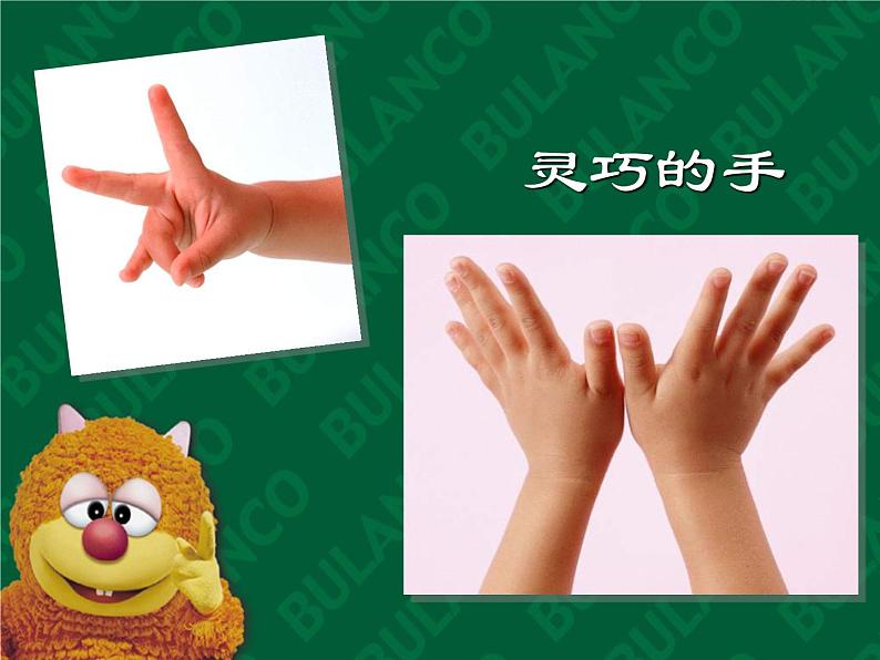赣美版二年级上册 3.我的手印画 课件(14张幻灯片)02