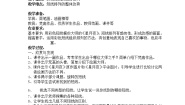小学美术沪教版三年级下册4 旋转的短线教案设计