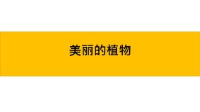 2021学年4. 美丽的植物背景图课件ppt