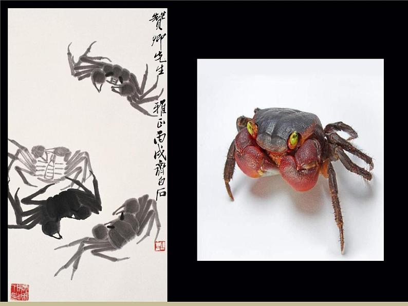 人教版五年级美术下册 10写意动物课件PPT第6页