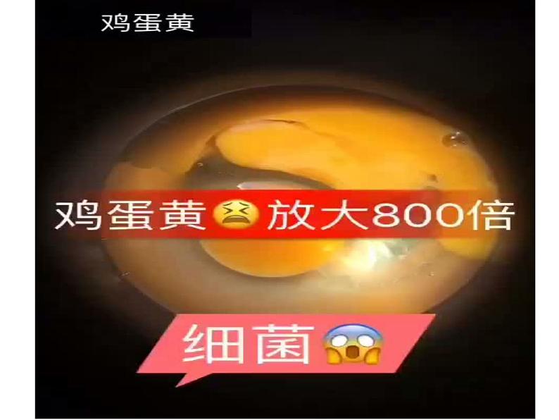 微观世界PPT课件免费下载04