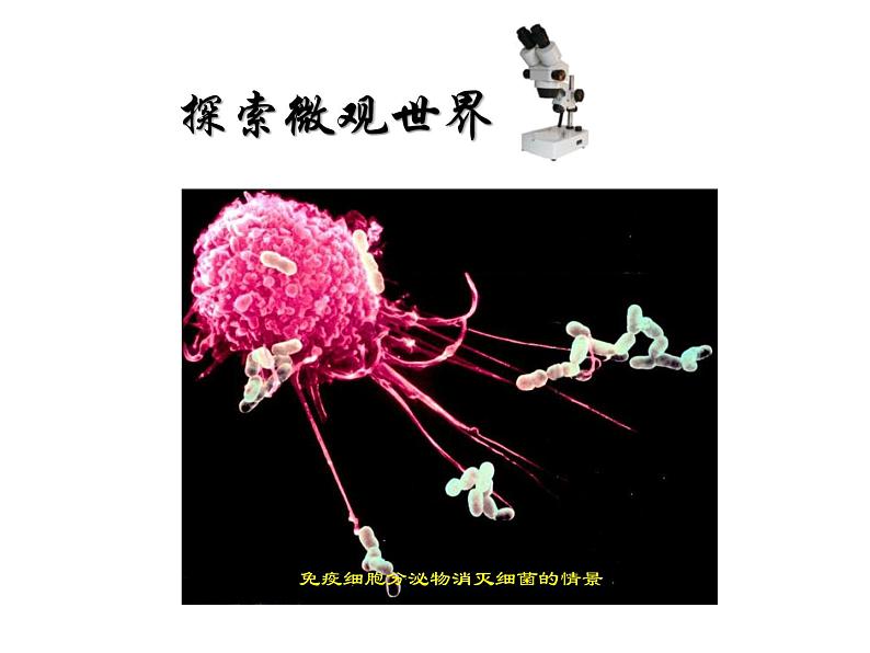 微观世界PPT课件免费下载08