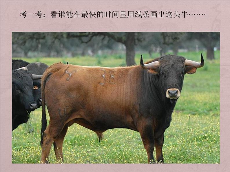 湘美版 美术三年级上册 7.有趣的图形(3)(课件)第6页