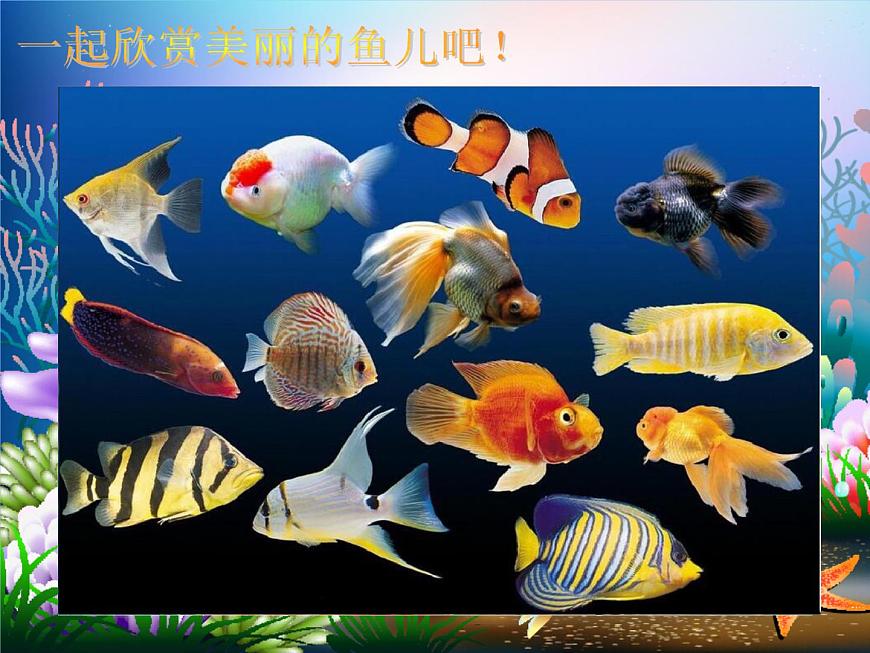 小學美術-第十四課-剪對稱魚形-湘美版----(共26張PPT)-(1)ppt課件第5頁