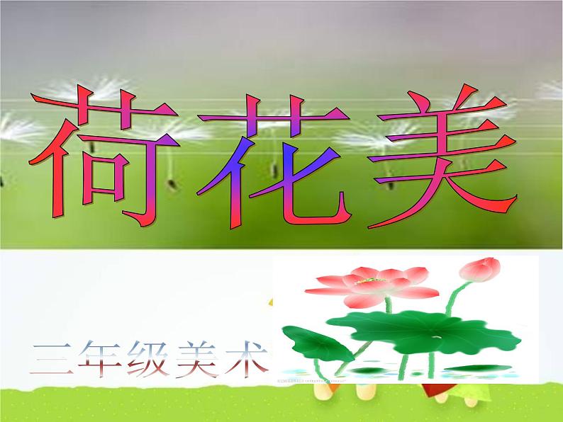 荷花美PPT课件免费下载02