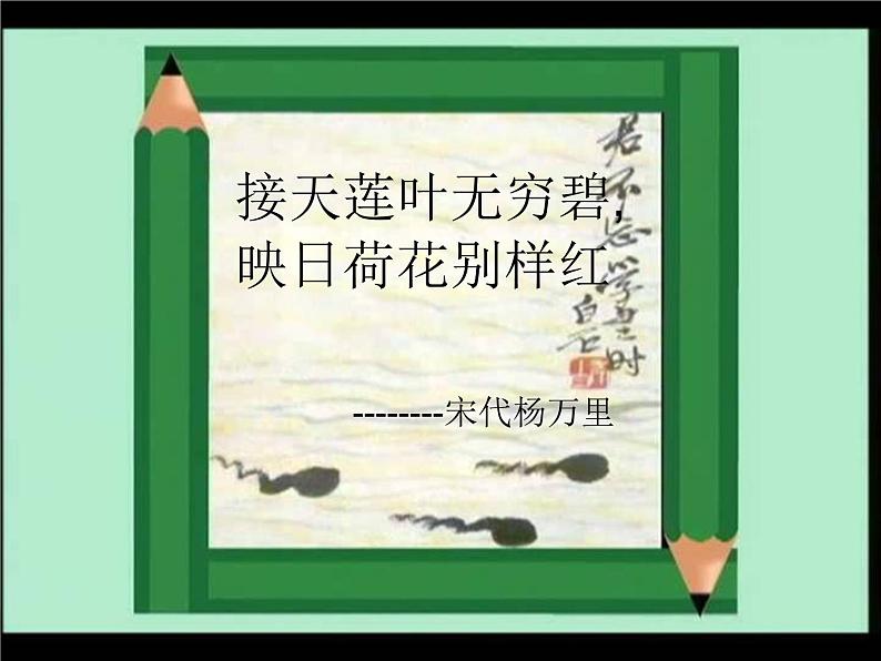 荷花美PPT课件免费下载03