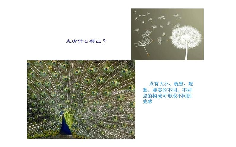 人教版四年级下册美术 19.点的魅力课件PPT第5页