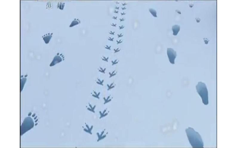 人教版二年级美术下册 10.脚印的联想课件PPT第4页