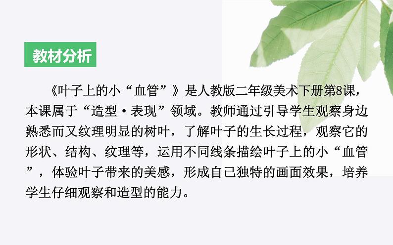 人教版二年级美术下册 8.叶子上的小“血管”课件PPT第2页