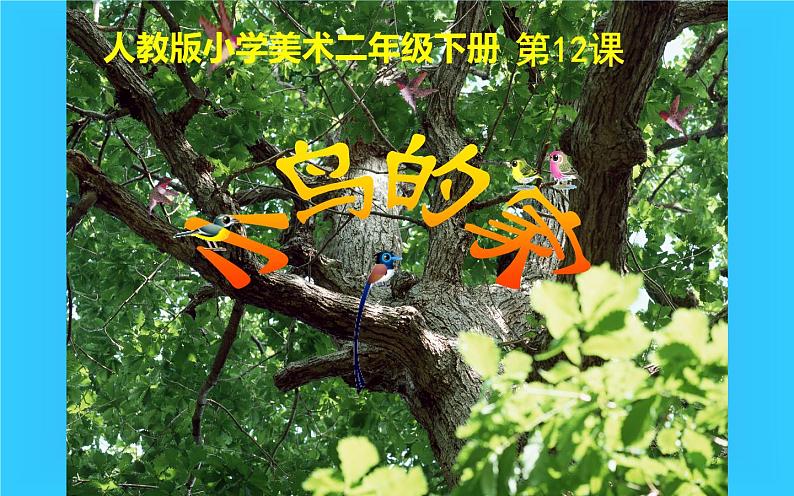 人教版二年级美术下册 12.小鸟的家课件PPT第1页