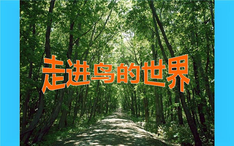 人教版二年级美术下册 12.小鸟的家课件PPT第6页