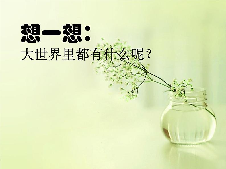 《壮观的大世界》课件02