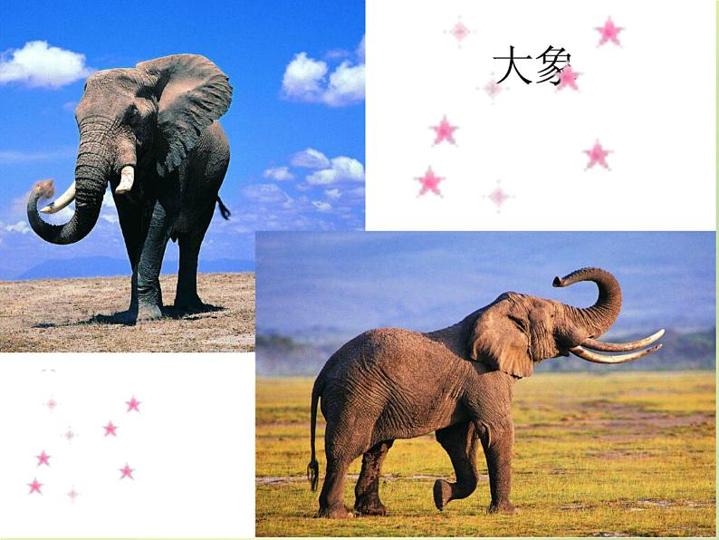 《壮观的大世界》课件03