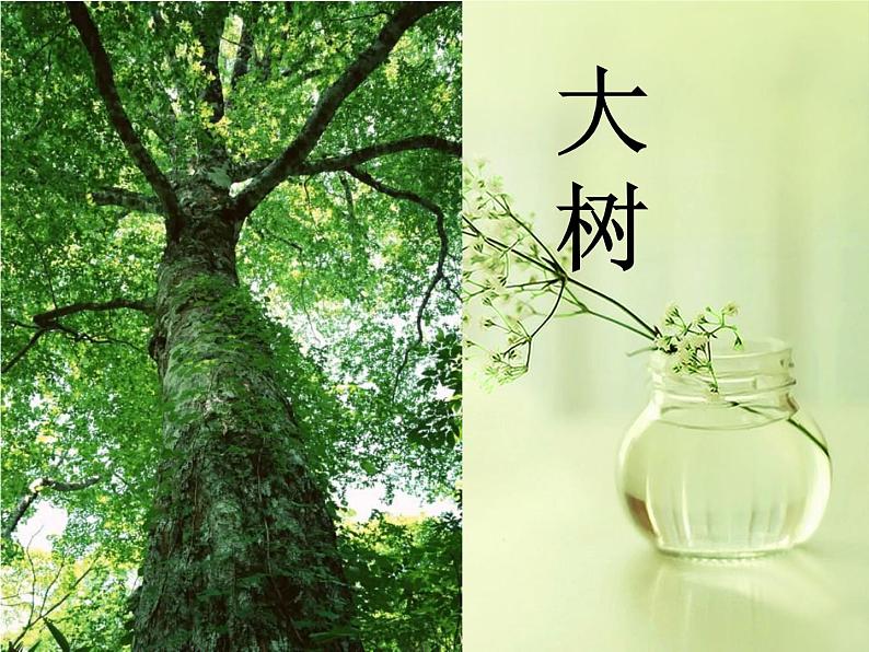《壮观的大世界》课件06