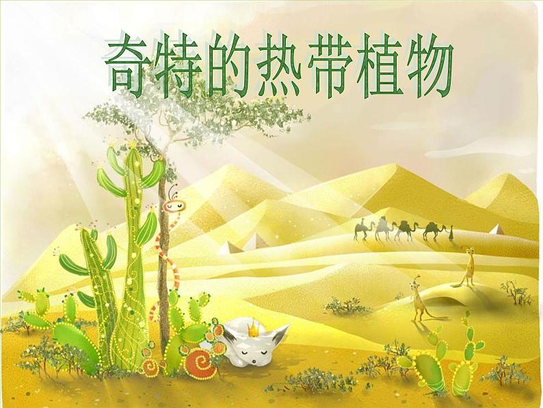 美术上年级上岭南版5.14奇特的热带植物课件(21张)第2页