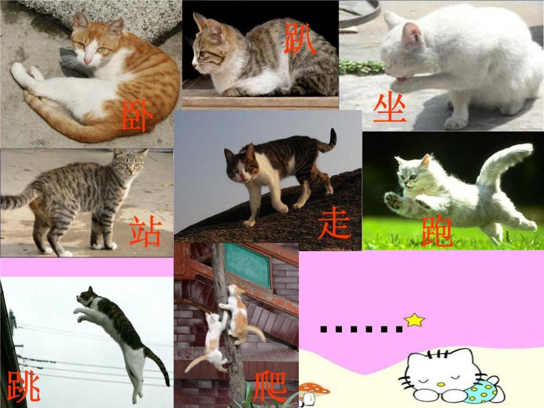 小学美术17-可爱的猫咪-课件-(3)(1)ppt课件08