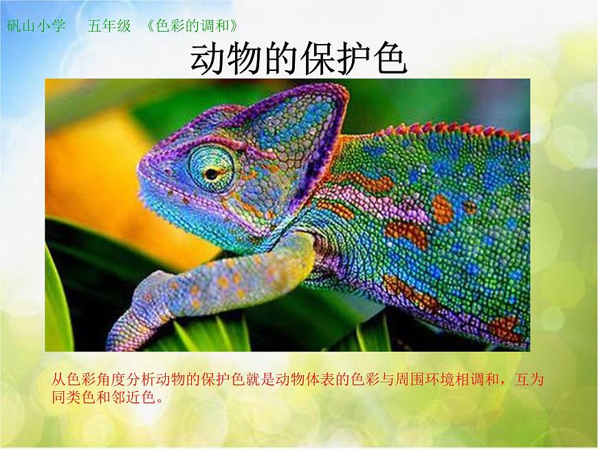 小學生美術課件-第2課-色彩的對比--冀美版(共22張PPT)-(1)ppt課件第7頁