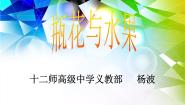 小学美术湘美版六年级下册第5课 瓶花与水果说课课件ppt
