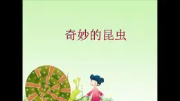 浙美版小学美术一年级下册   19.奇妙的昆虫  课件