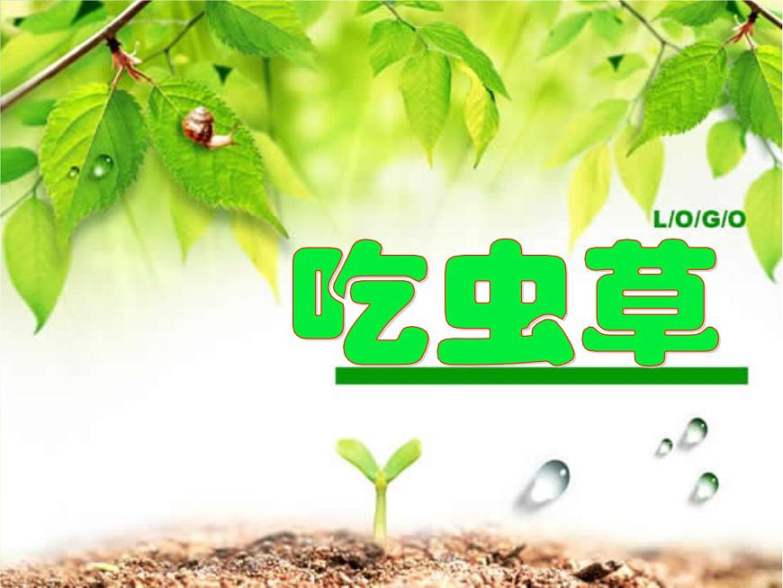 2022年小學(xué)美術(shù)課件-第2課-吃蟲草--人美版-(共23張PPT)ppt課件第2頁