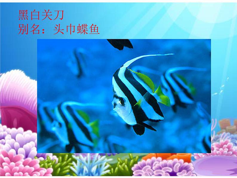小学 / 美术 / 岭南版 / 一年级下册 / 第二单元 点线色,你我他 / 7. 大鱼和小鱼课件03