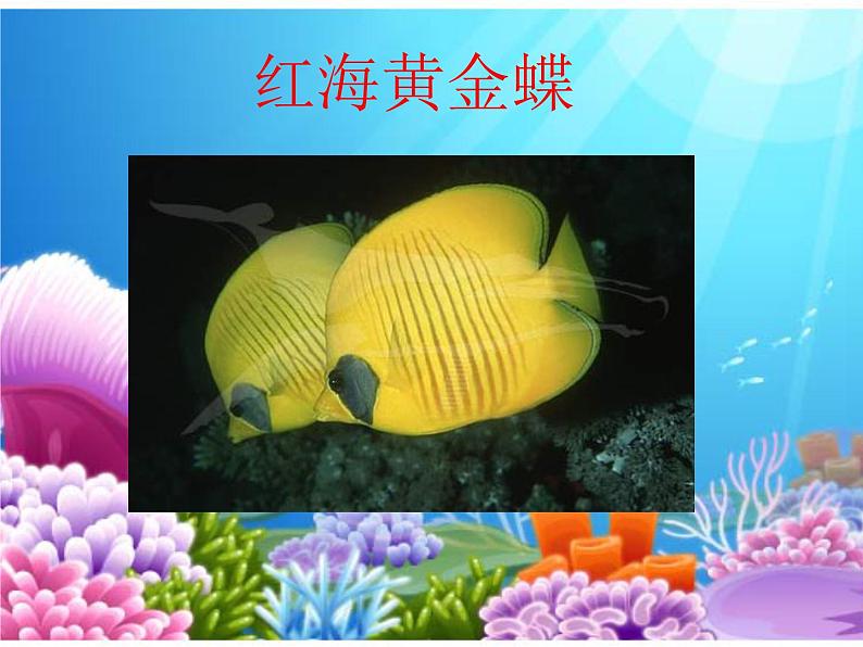 小学 / 美术 / 岭南版 / 一年级下册 / 第二单元 点线色,你我他 / 7. 大鱼和小鱼课件04
