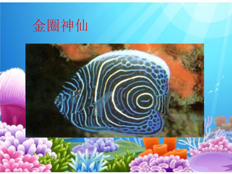 小学 / 美术 / 岭南版 / 一年级下册 / 第二单元 点线色,你我他 / 7. 大鱼和小鱼课件05