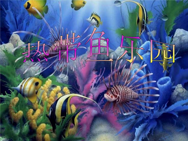 2022年小学生美术《15热带鱼乐园》浙美版(15张)ppt课件第1页