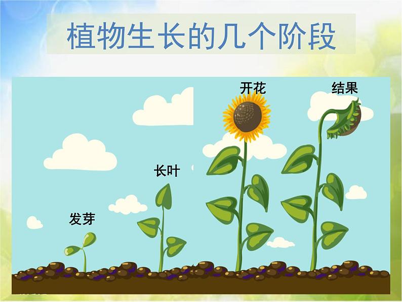 2022年小学 美术 人美版 一年级下册 2. 长呀长课件第4页