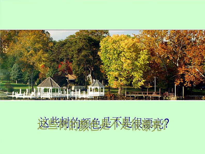 2022年小学 美术 冀美版 三年级上册 3. 奇妙的对印课件第3页