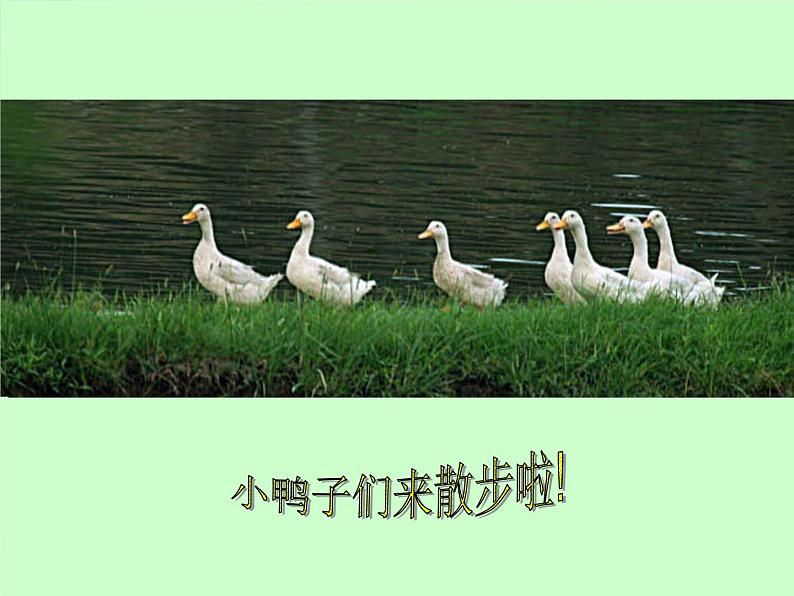 2022年小学 美术 冀美版 三年级上册 3. 奇妙的对印课件第4页